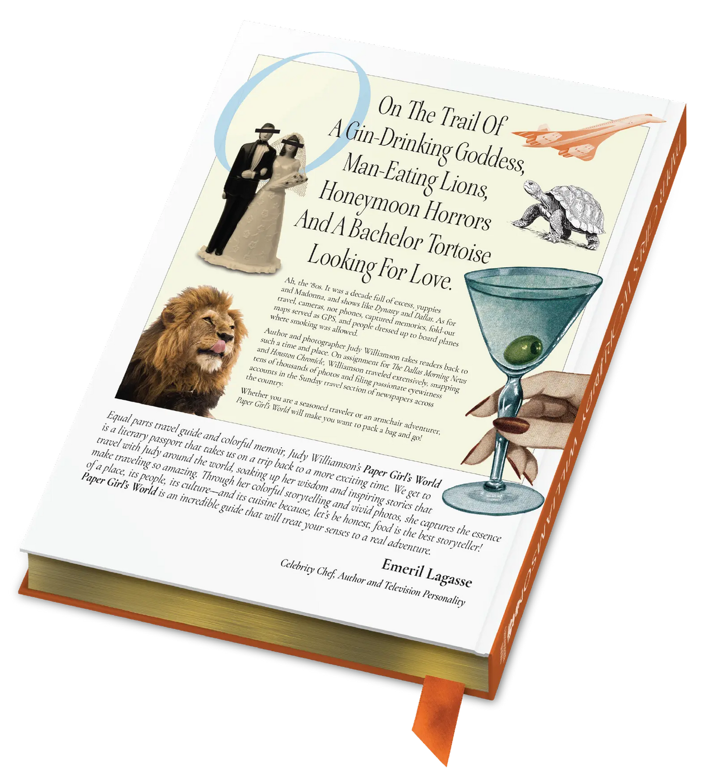 "Paper Girl's World" coffee table book